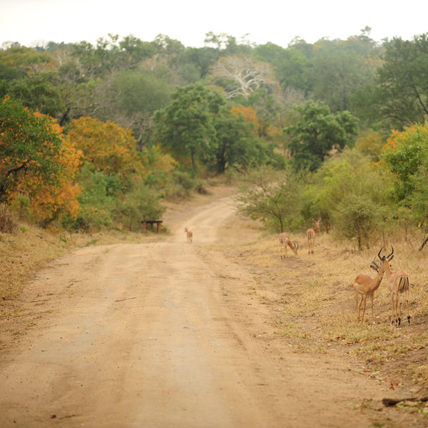 … and there’s a good network of roads here …