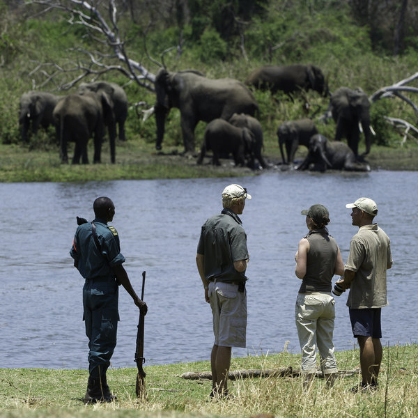 ... the reserve is good for walking safaris ...