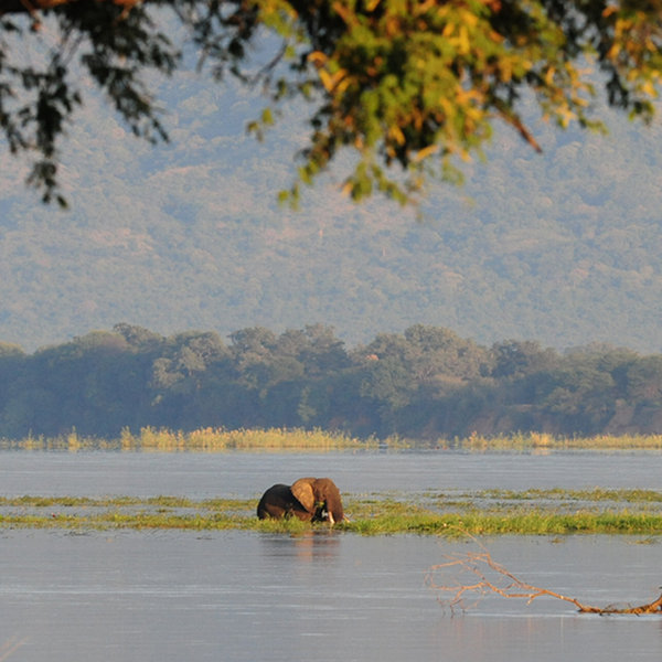 Mana Pools is located in the Lower Zambezi Valley