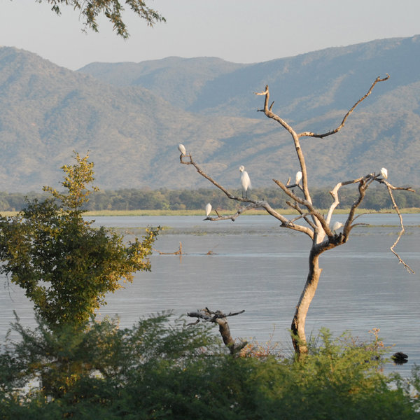 Named after the four ox-bow lakes found here…