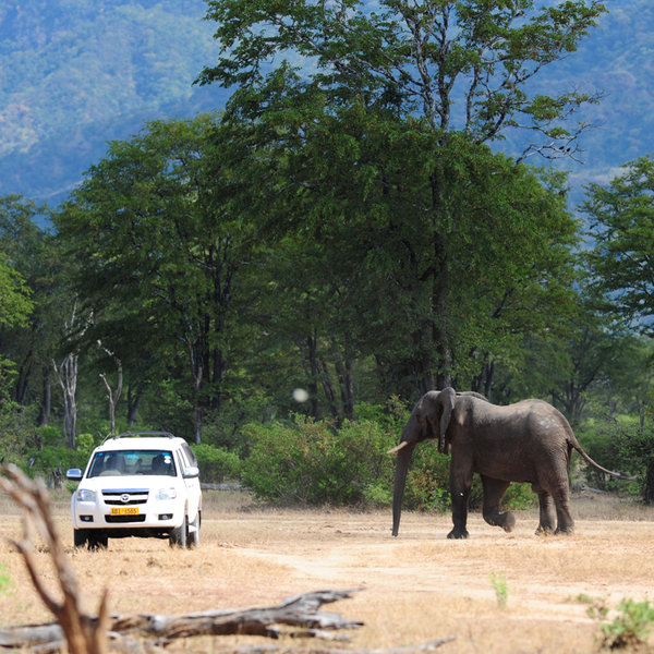 …‘Mana’ means ‘four’ in the local Shona language.