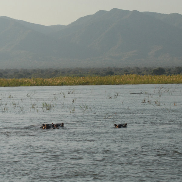 The largest of the pools, ‘Long’ pool…