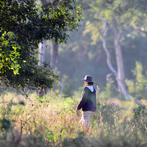 It is particularly good for walking safaris…