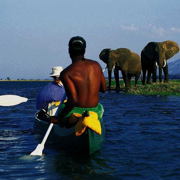 Canoe safaris are also a great way to see the valley