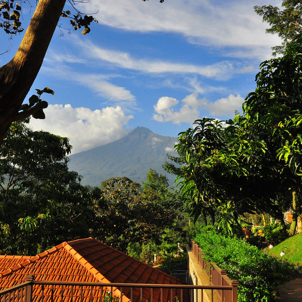 Arusha is a bustling, but still lovely town standing at the foothills of Mount Meru.