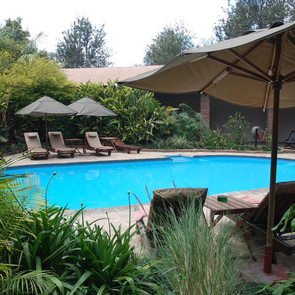 Enjoy the beautiful swimming pool before…