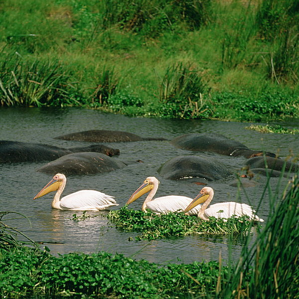 ... and here you can sit and watch the birdlife.