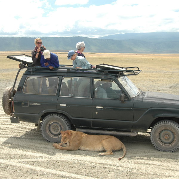 ...in the presence of vehicles!