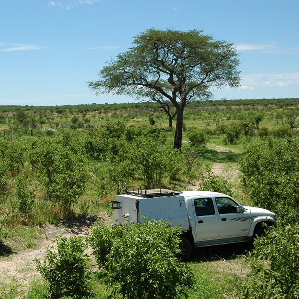 Bushmanland consists mainly of Kalahari bush. There are few hills and driving is all on sand.