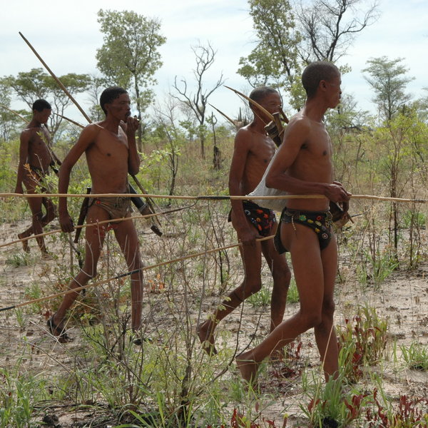 The San Bushmen continue to use traditional skills to survive in their harsh environment