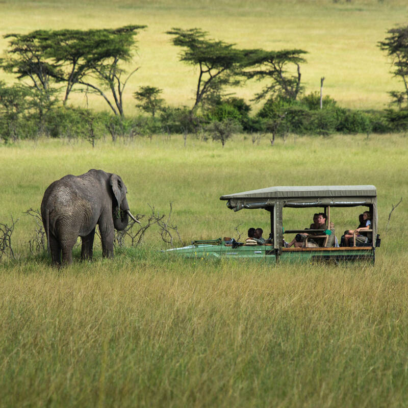 Maasai Mara National Reserve