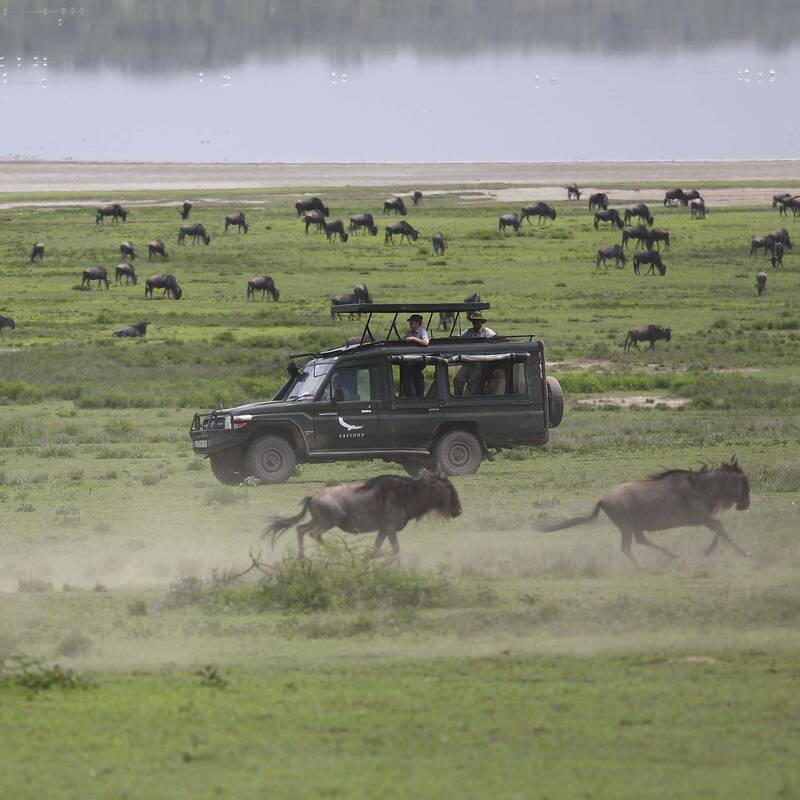 Serengeti Migration Area