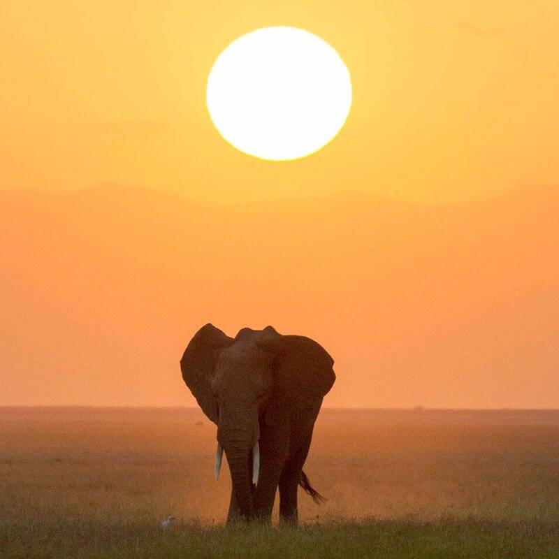 Amboseli and the Chyulu Hills