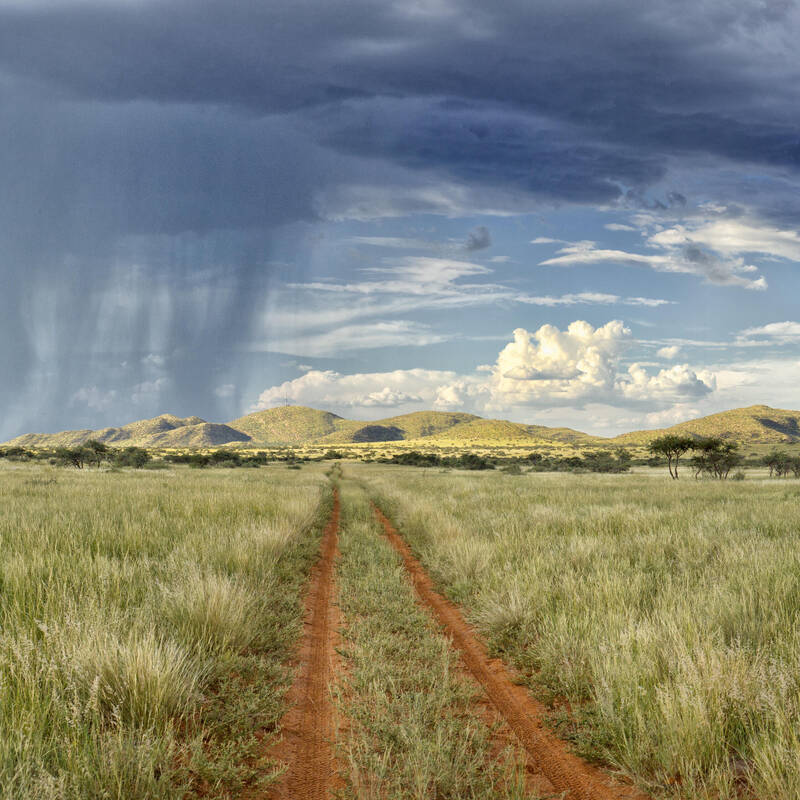 kgalagadi transfrontier park tours