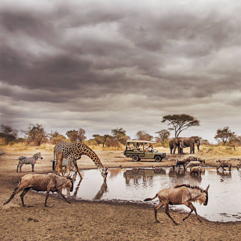 Tarangire National Park | Tanzania safaris | Expert Africa