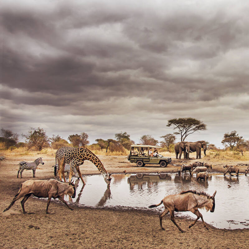 Tarangire National Park