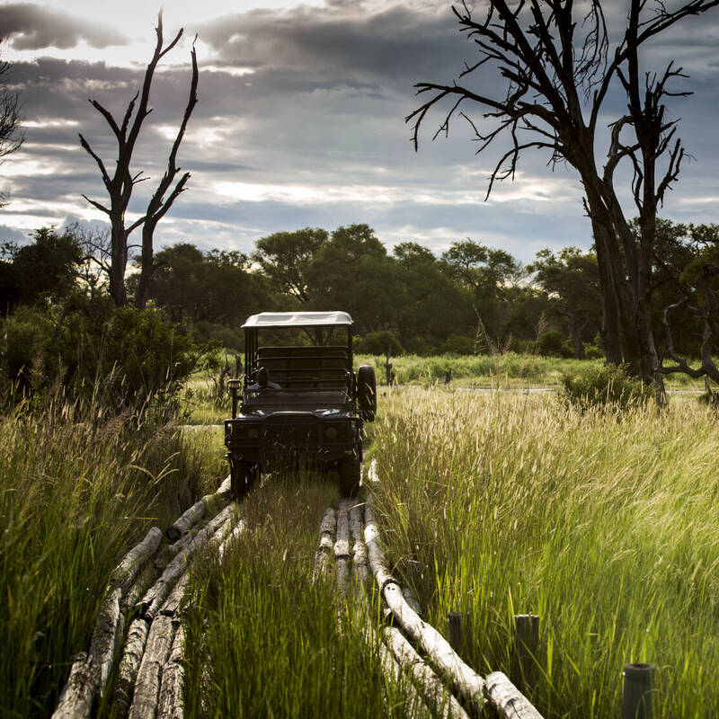 Okavango Delta Safari Reserves