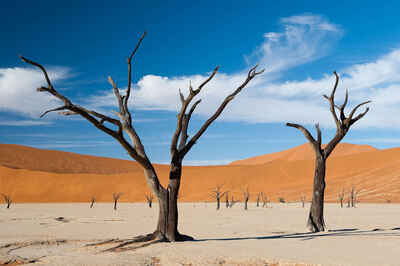 Namib-Naukluft National Park