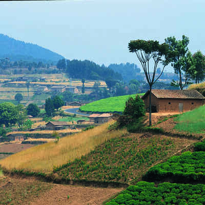 Gishwati-Mukura National Park