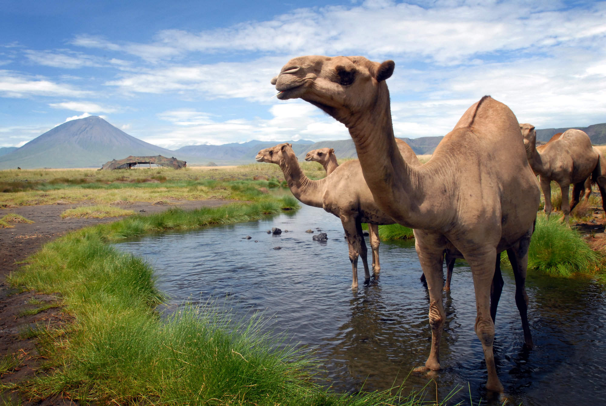 lake natron tanzania on map