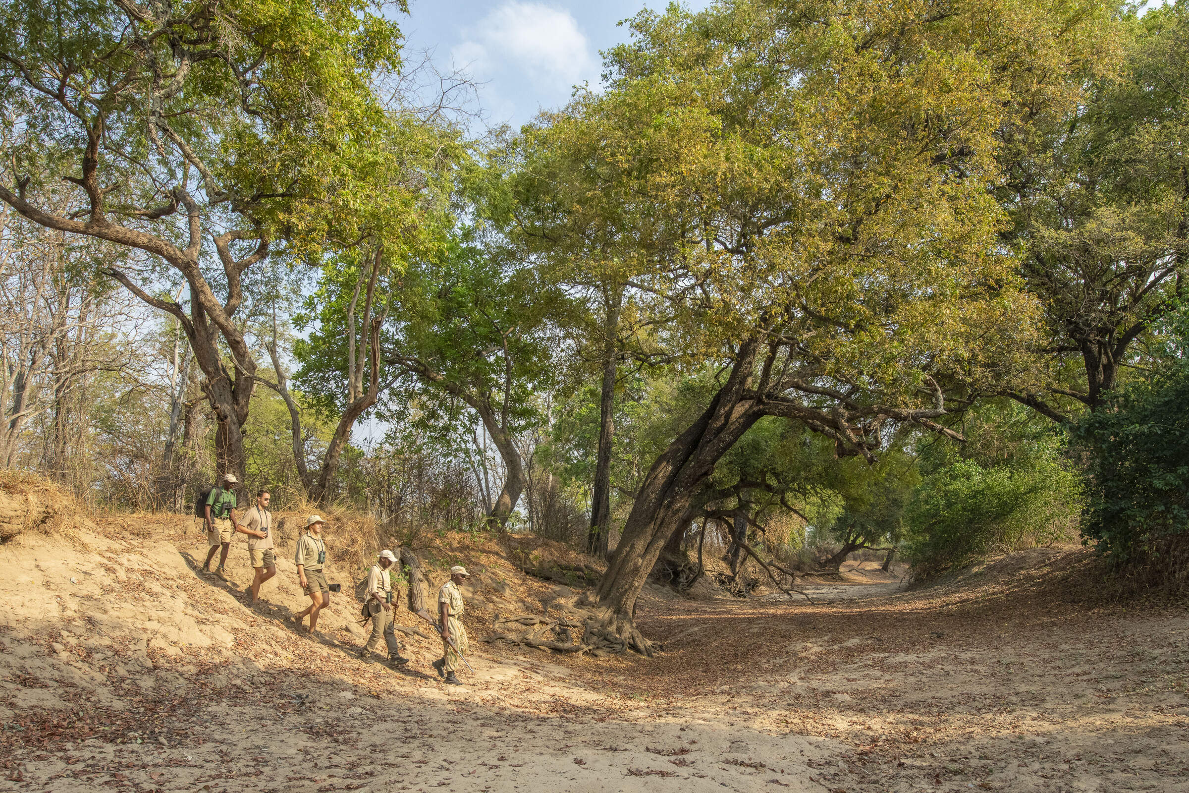 Chikoko Tree Camp