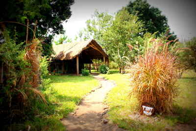 Udzungwa Forest Camp