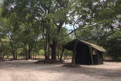 Liuwa Plains Mobile Safari