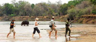 North Luangwa National Park