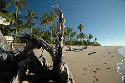 Saadani National Park