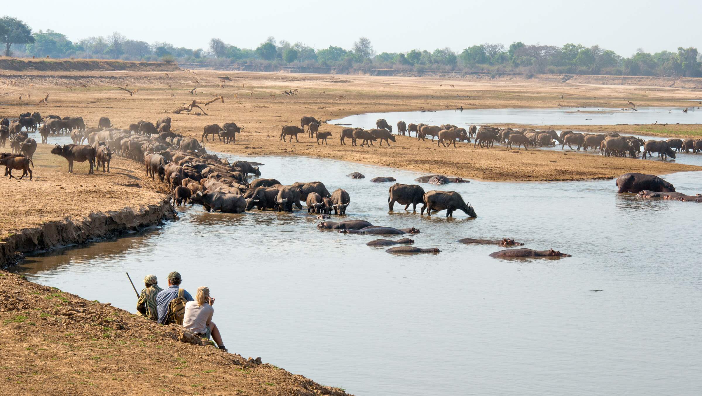 Mwamba Bushcamp