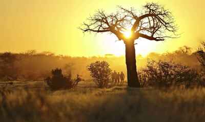 Ruaha National Park