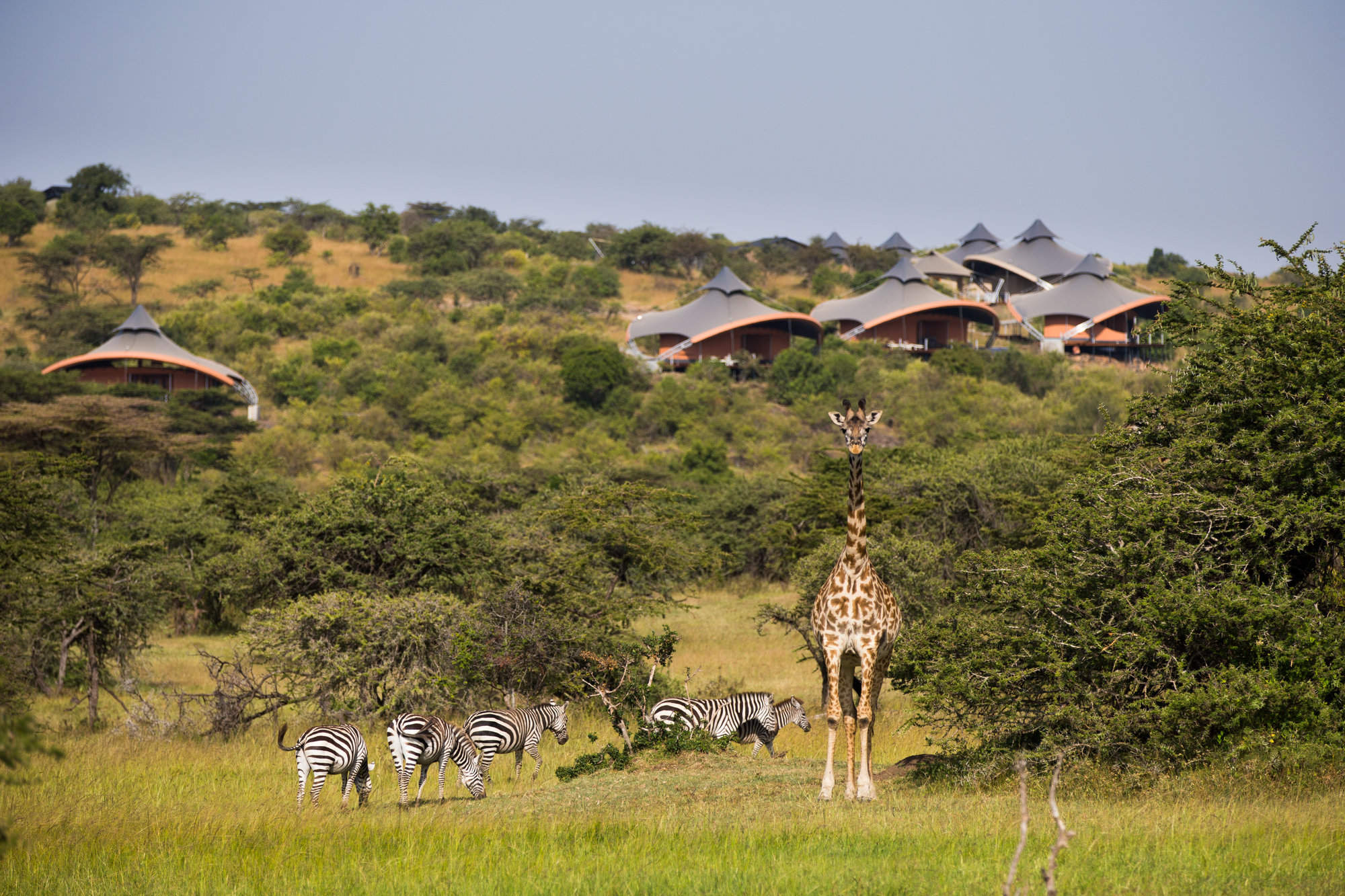 best time of year to visit kenya safari