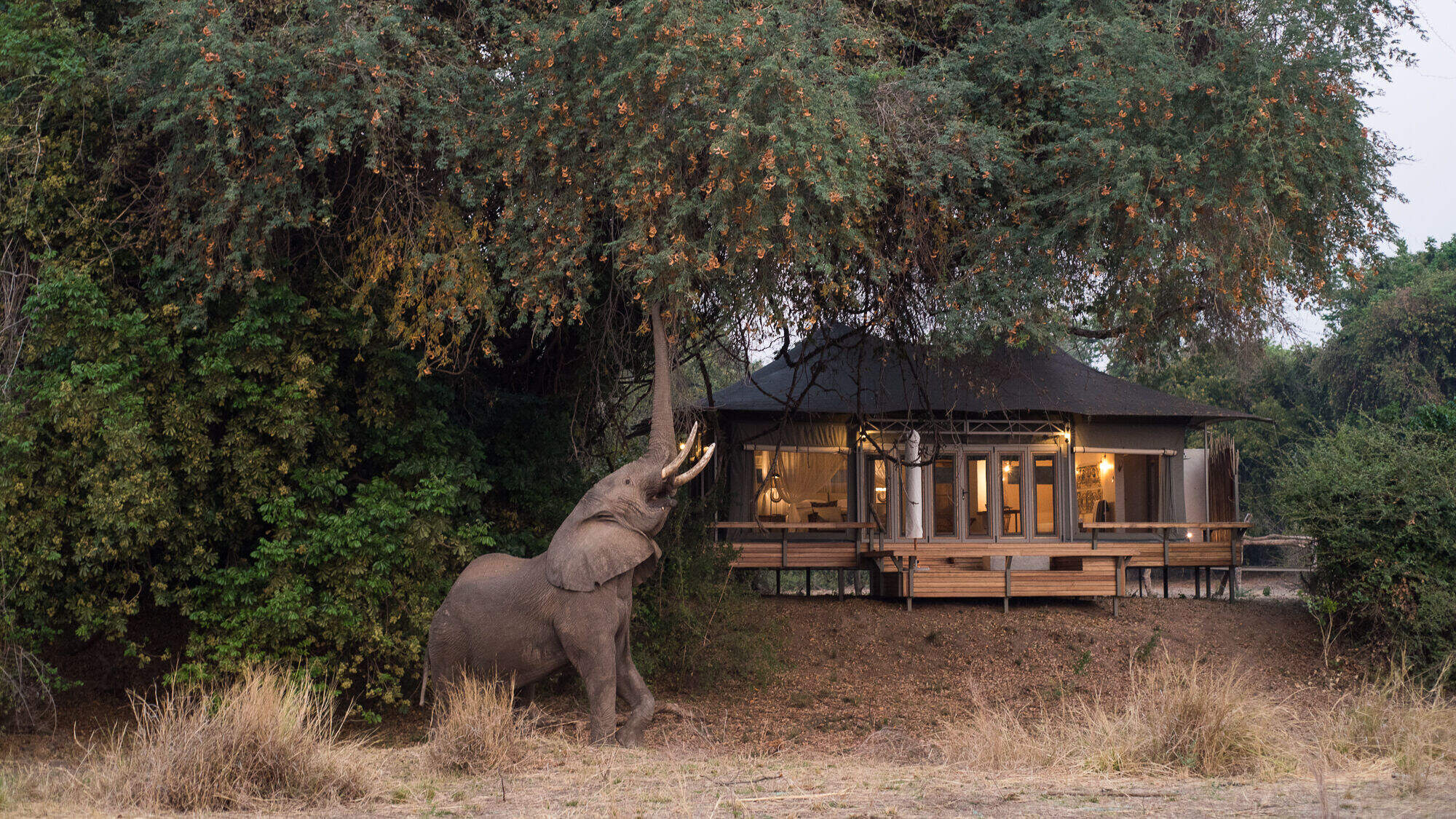 mana pools safari holiday