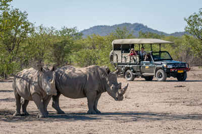 Ongava Lodge