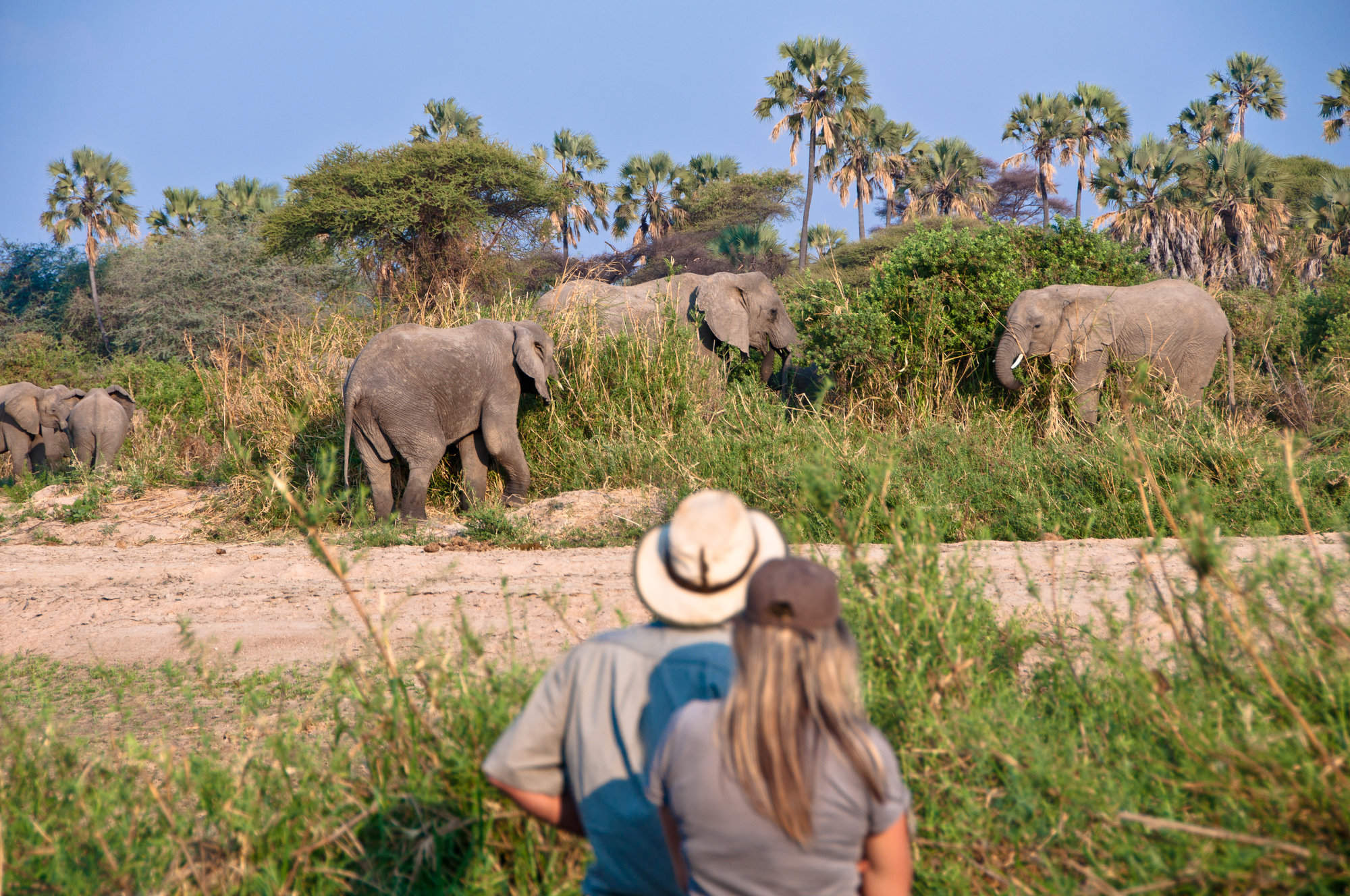 africa on foot walking safari