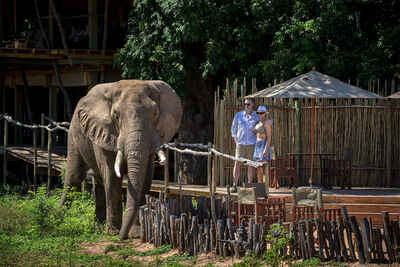 Nyamatusi Camp