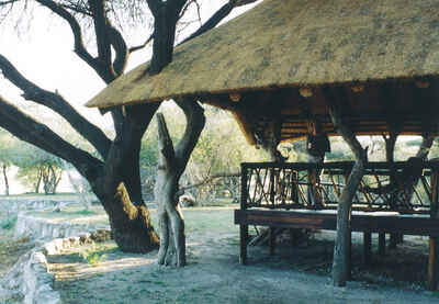 Edo's Camp