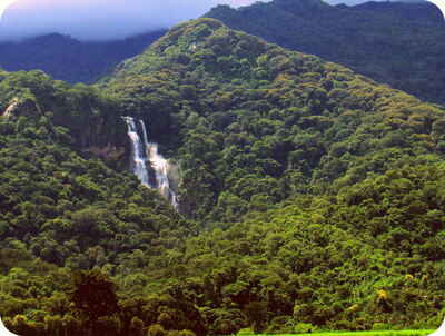 Mikumi & Udzungwa Mountains