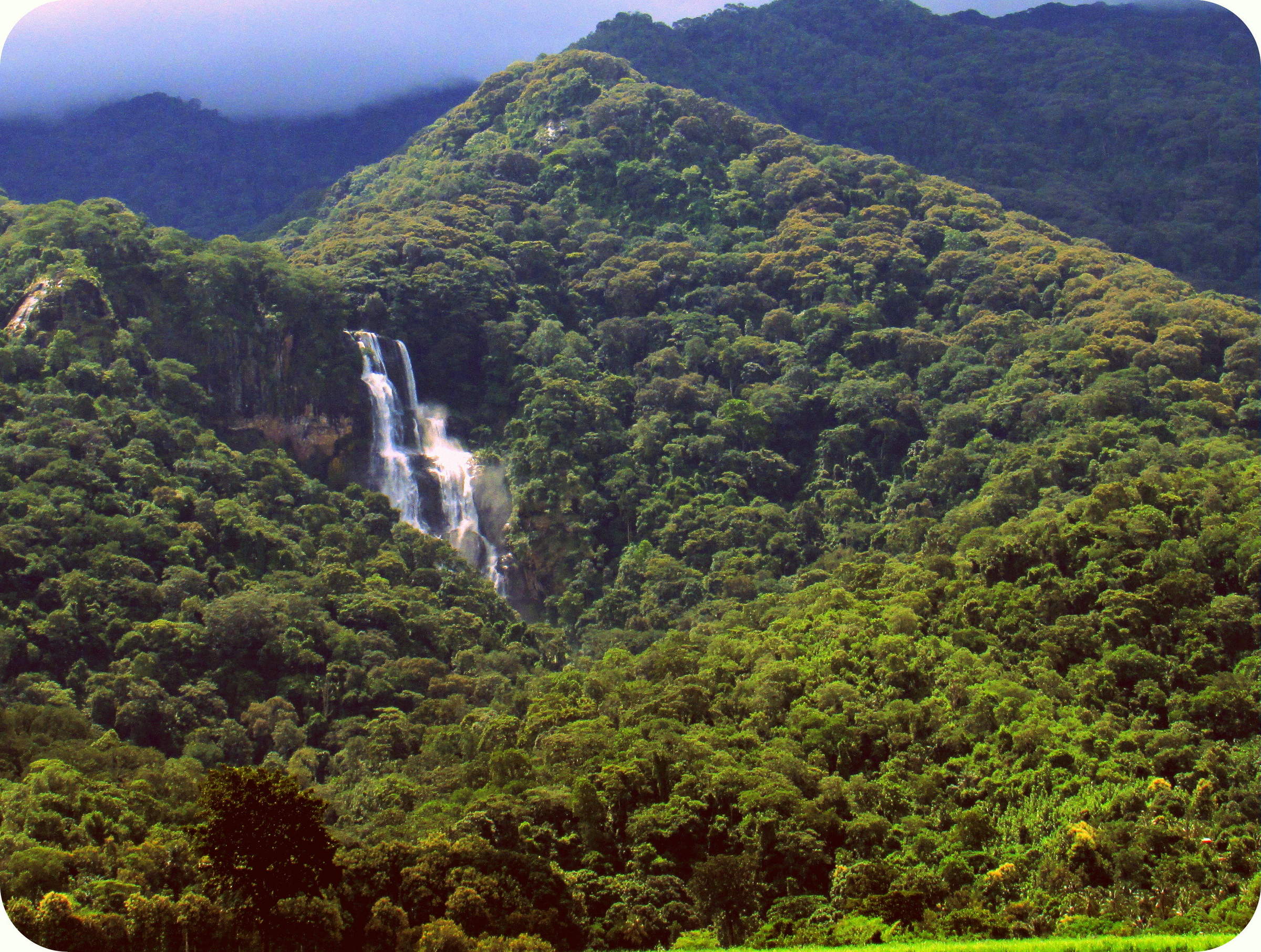 Mikumi & Udzungwa Mountains