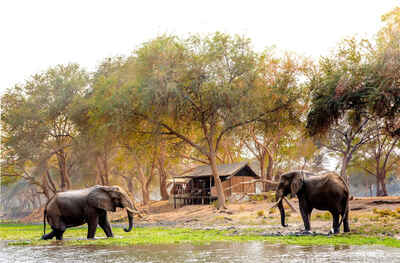 Old Mondoro Bushcamp