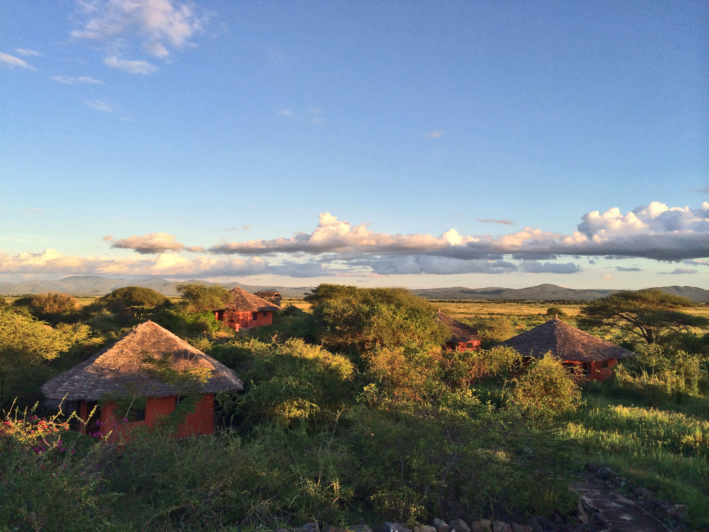 Kia Lodge