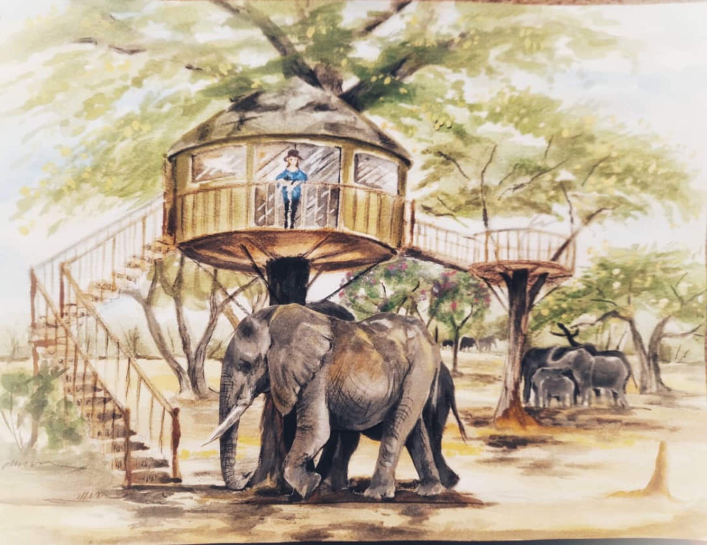 Tum Tum Treehouses Lodge