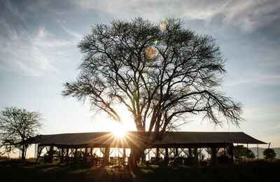 Nomad Serengeti Safari Camp