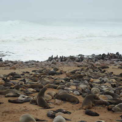 Cape Cross Lodge