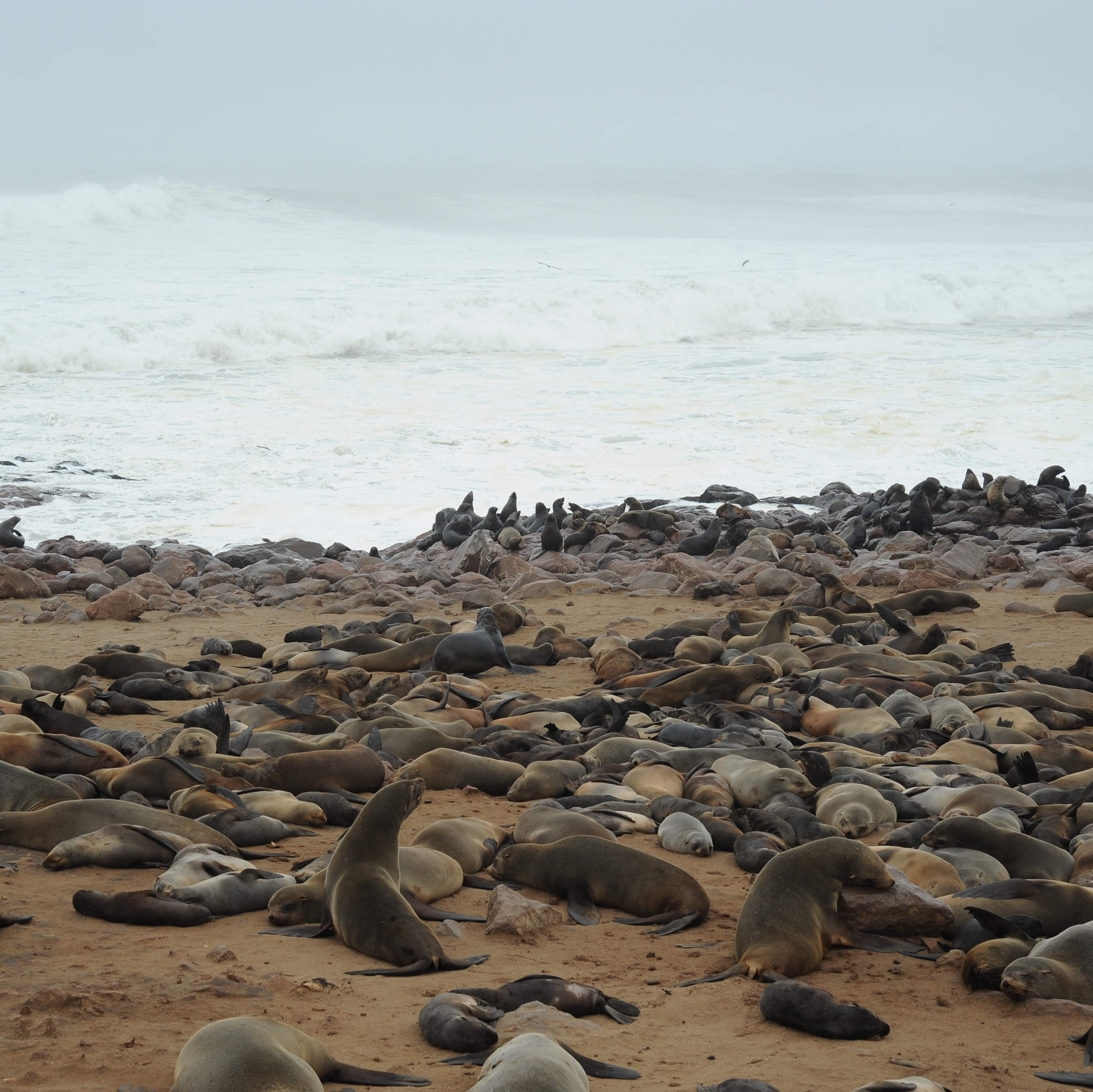 Cape Cross Lodge