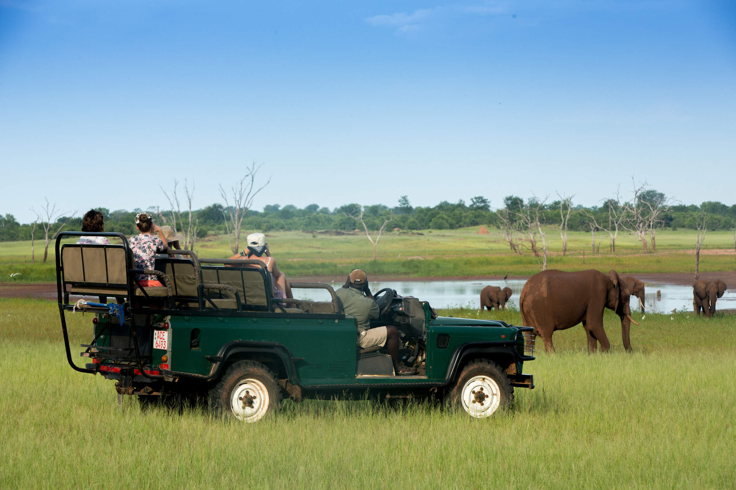 rhino safari camp matusadona