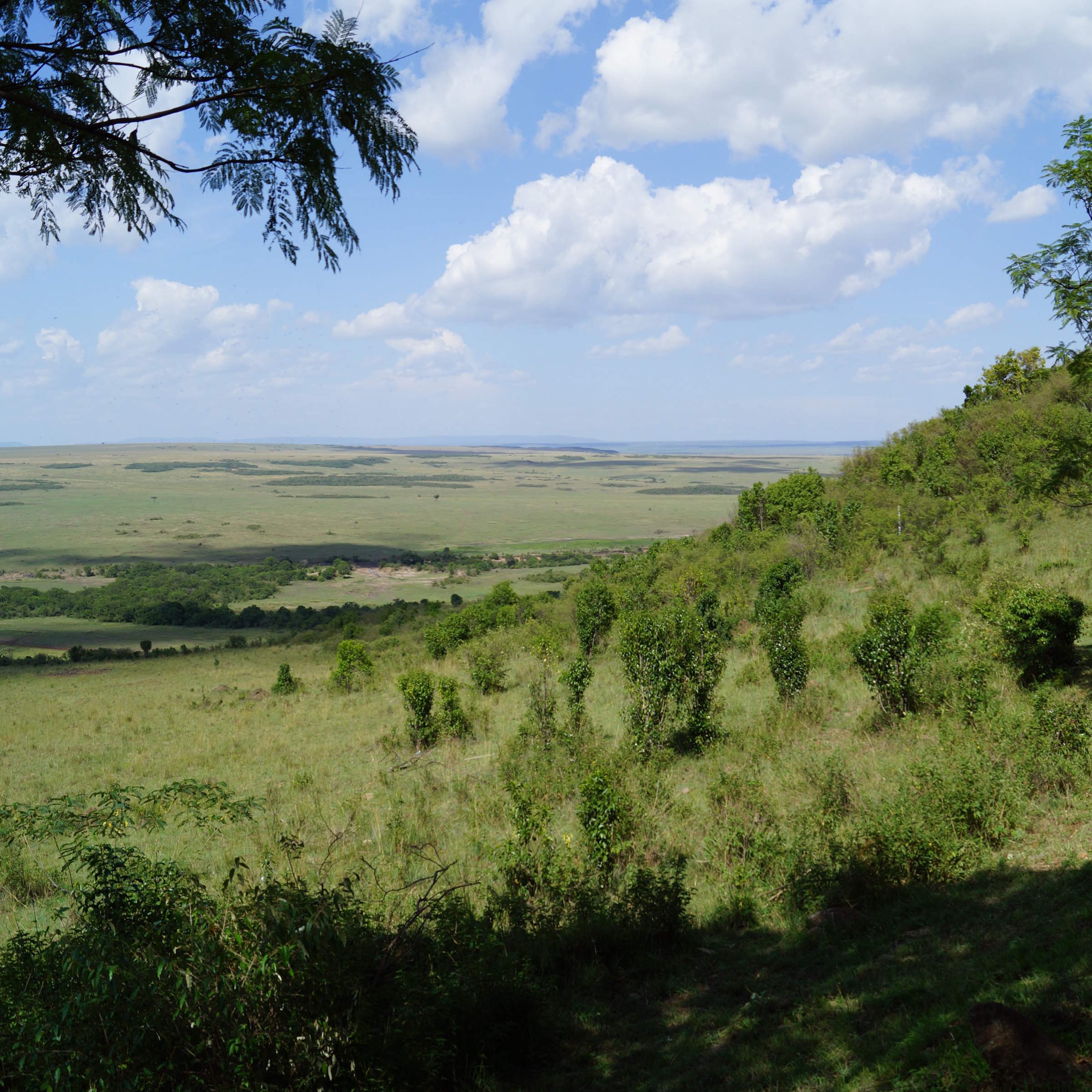 Mara Serena Safari Lodge