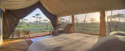 Serengeti under Canvas