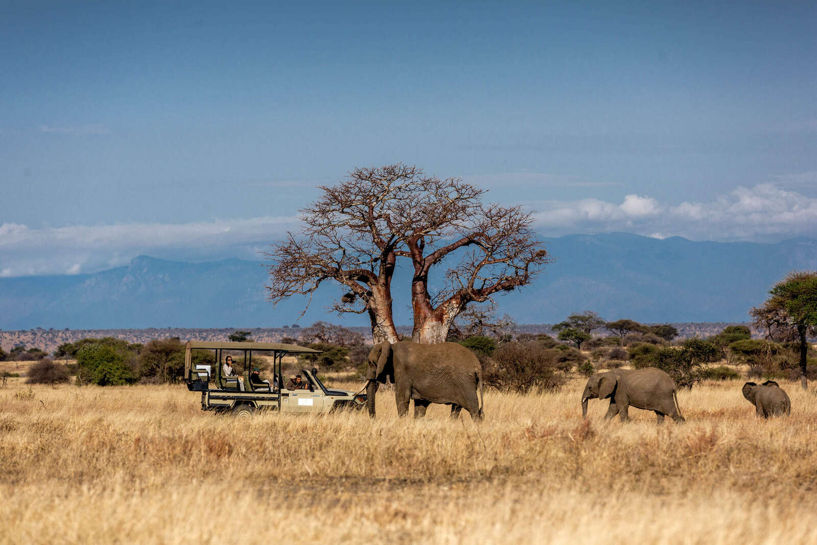 Reference map of Tarangire National Park | Tanzania | Expert Africa