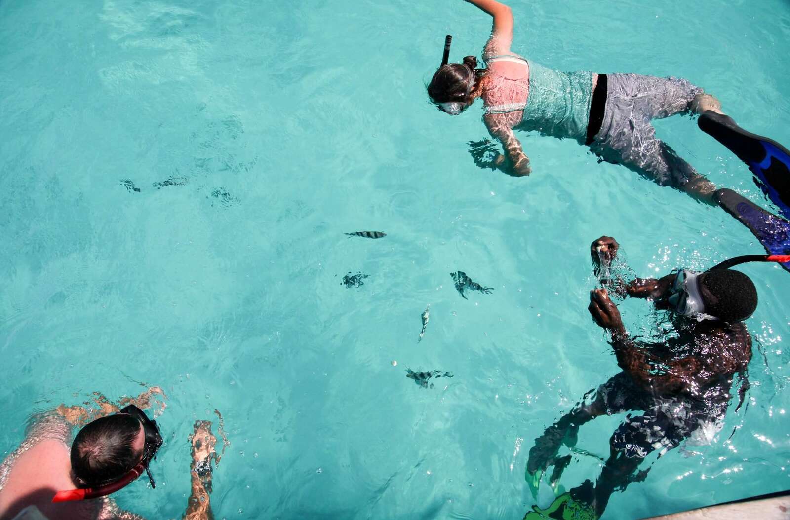 Diving & snorkelling in Zanzibar | Expert Africa